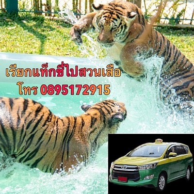 เรียกแท็กซี่ไป Tiger Park Pattaya